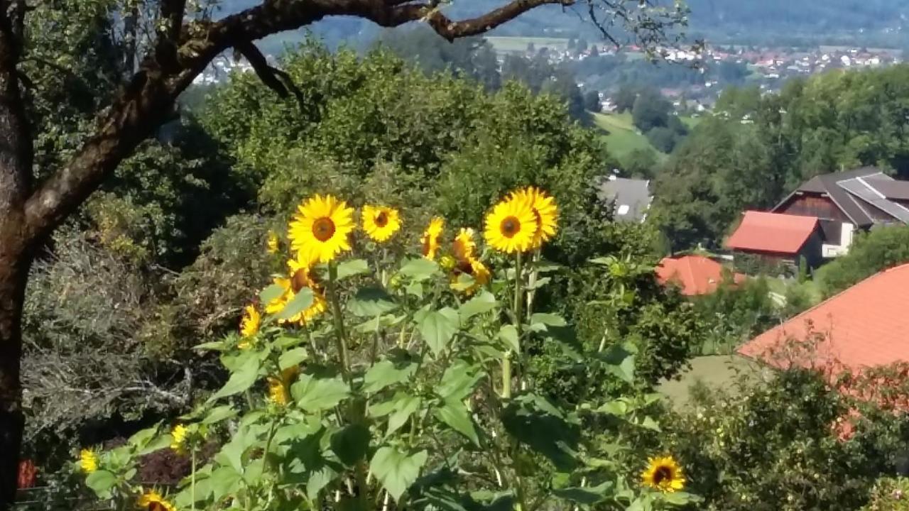 Muellnerhaus Millstatt Exterior foto