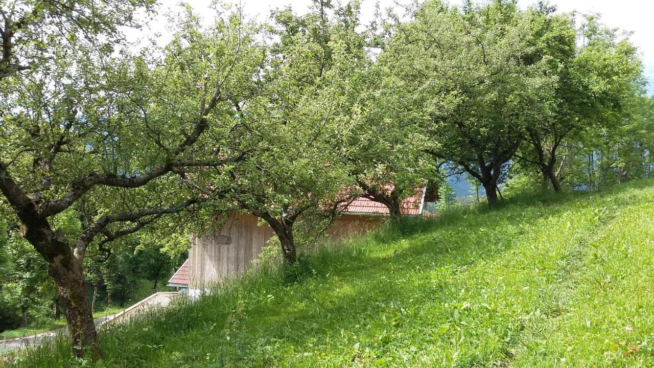 Muellnerhaus Millstatt Exterior foto